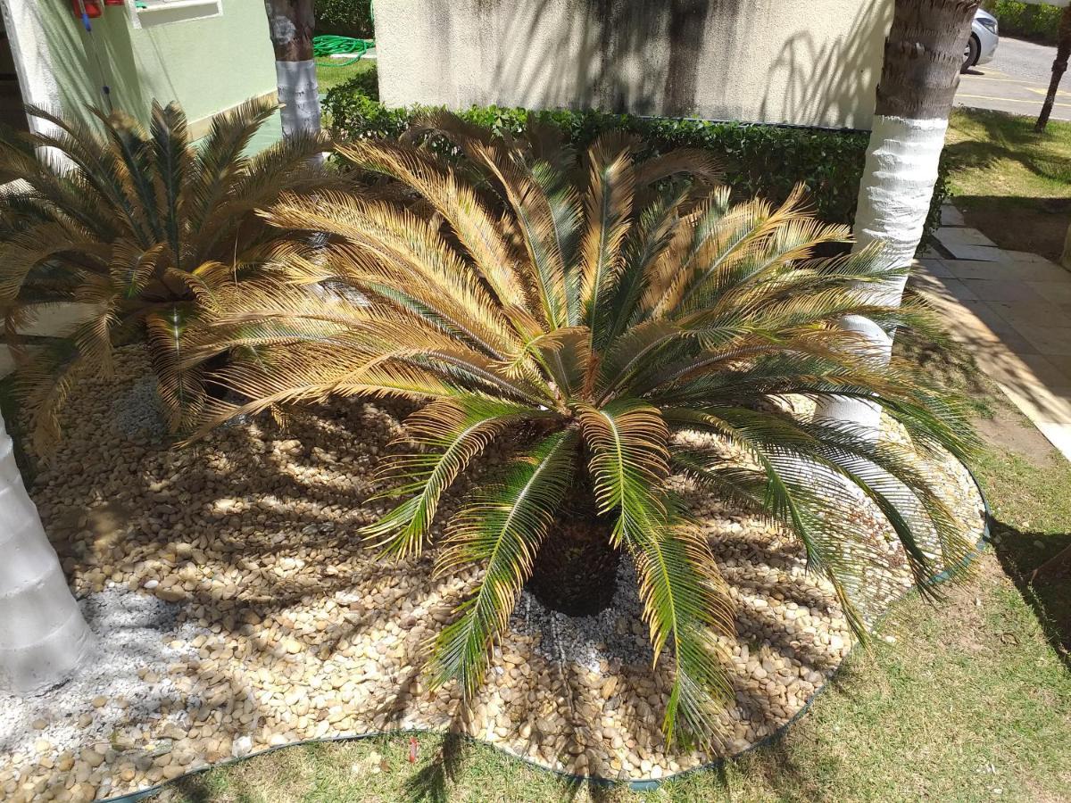 Costa Atlantica Flat Due Quartos Com Piscina *