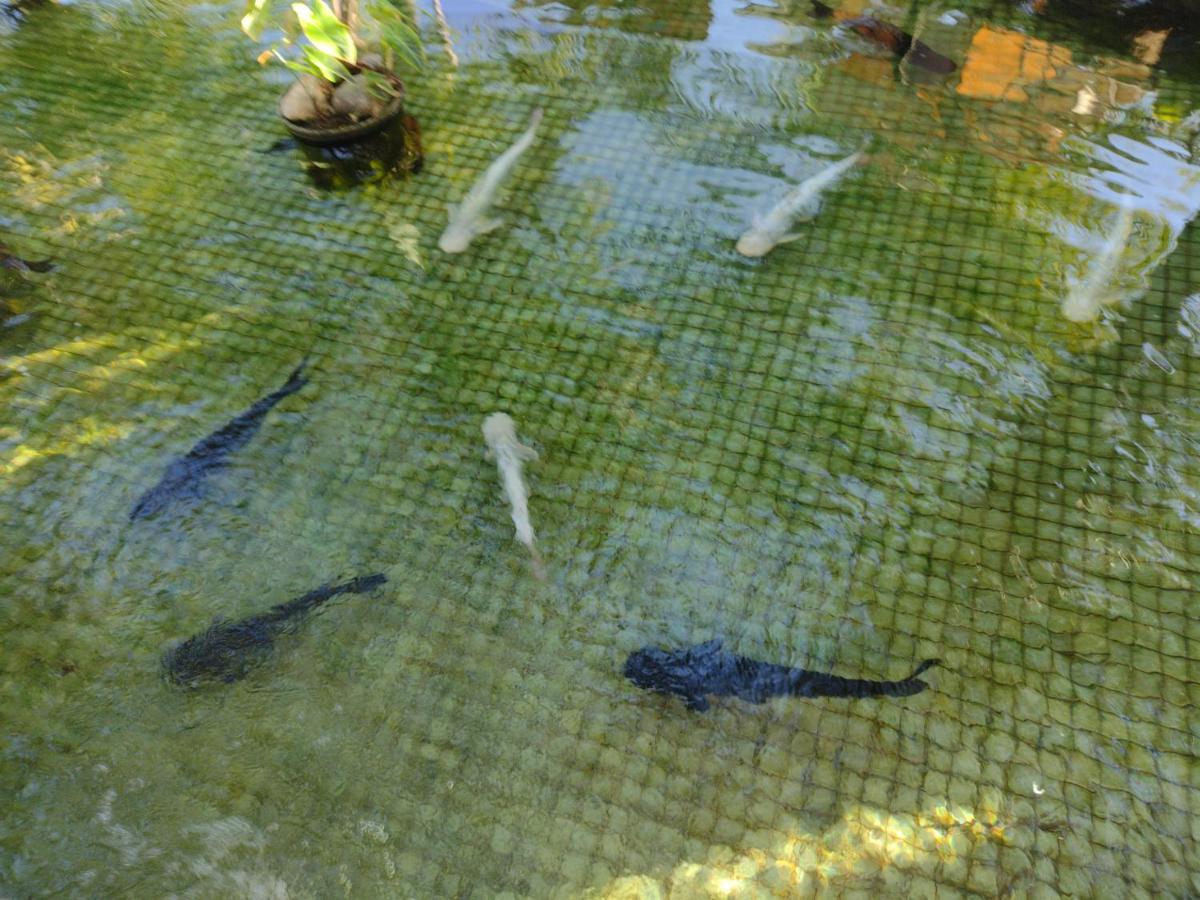 Costa Atlantica Flat Due Quartos Com Piscina *