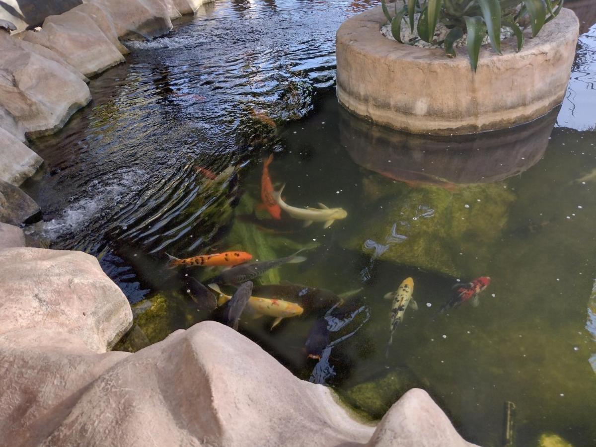 Costa Atlantica Flat Due Quartos Com Piscina *